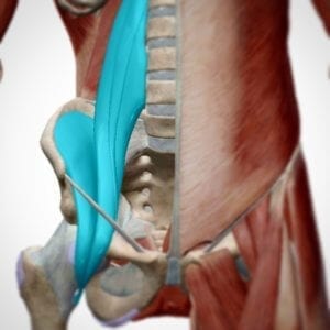 Hip flexors could be causing your low back pain