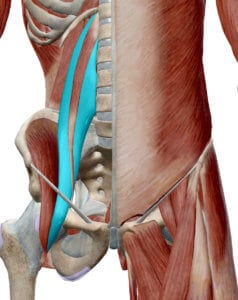 are tight hip flexors causing your lower back pain? 