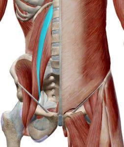 Are tight hip flexors causing your lower back pain? 