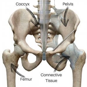 Why your Hip Anatomy could be causing your lower back pain