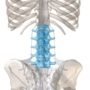 Sciatic nerve pain and lower back pain