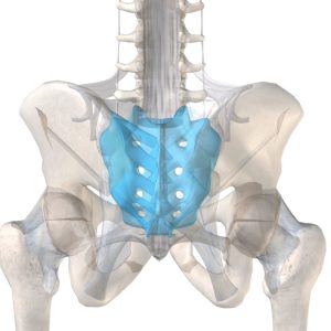 Sciatic nerve pain and lower back pain
